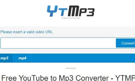 Efficiency and Functionality of the YTMP4 Converter