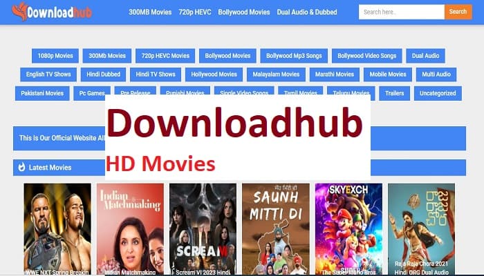 The Dark Side of Entertainment: Unveiling the Realities of Downloadhub Piracy